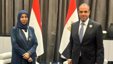 الجيش يعلن مقتل 15 مسلحًا خلال عملية أمنية في شمال سيناء