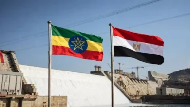 الجيش يعلن مقتل 15 مسلحًا في اشتباكات شمال سيناء