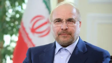 الجيش يعلن مقتل 15 مسلحًا في عملية أمنية شمال سيناء
