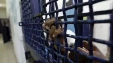 الرئاسة الفلسطينية تدين اقتحام القوات الإسرائيلية لمخيم جنين وتدعو المجتمع الدولي للتدخل