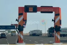 بوابة خاصة لاستقبال المواطنين احتفالا بانطلاق الدورة التاسعة من مهرجان الجونة السينمائي