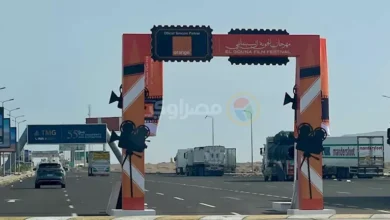 بوابة خاصة لاستقبال المواطنين احتفالا بانطلاق الدورة التاسعة من مهرجان الجونة السينمائي