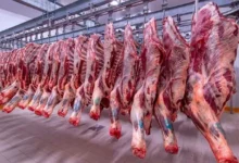 تراجع أسعار النفط مع استمرار المخاوف من تباطؤ الطلب العالمي