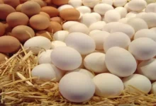 تراجع مؤشر البورصة المصرية بنسبة 2% مع استمرار الضغوط الاقتصادية