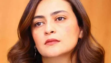 علا الشافعي تتولى رئاسة مهرجان الإسكندرية السينمائي لدول حوض البحر المتوسط في دورته 42