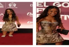 مريم شريف تتألق في افتتاح مهرجان الجونة وناقد موضة يعلق على إطلالتها