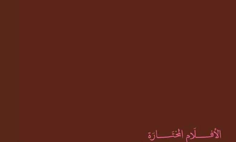 مهرجان الجونة السينمائي يواصل شراكته مع سينما زاوية ويعرض 7 أفلام من الدورة التاسعة