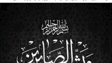 هالة سرحان تعلن وفاة شقيقتها التوأم شادية سرحان برسالة مؤثرة على فيسبوك