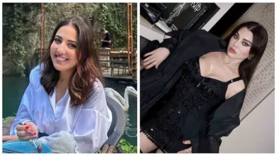 هيفاء وهبي تتصدر التريند بعد حكم بالسجن على مدير أعمالها السابق ومي كساب تشارك صور زيارتها لأحمد السقا